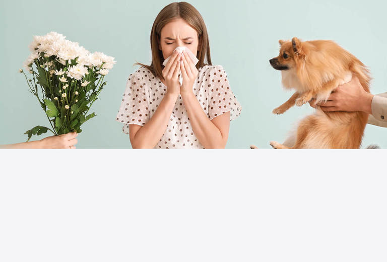 Allergie im Blut