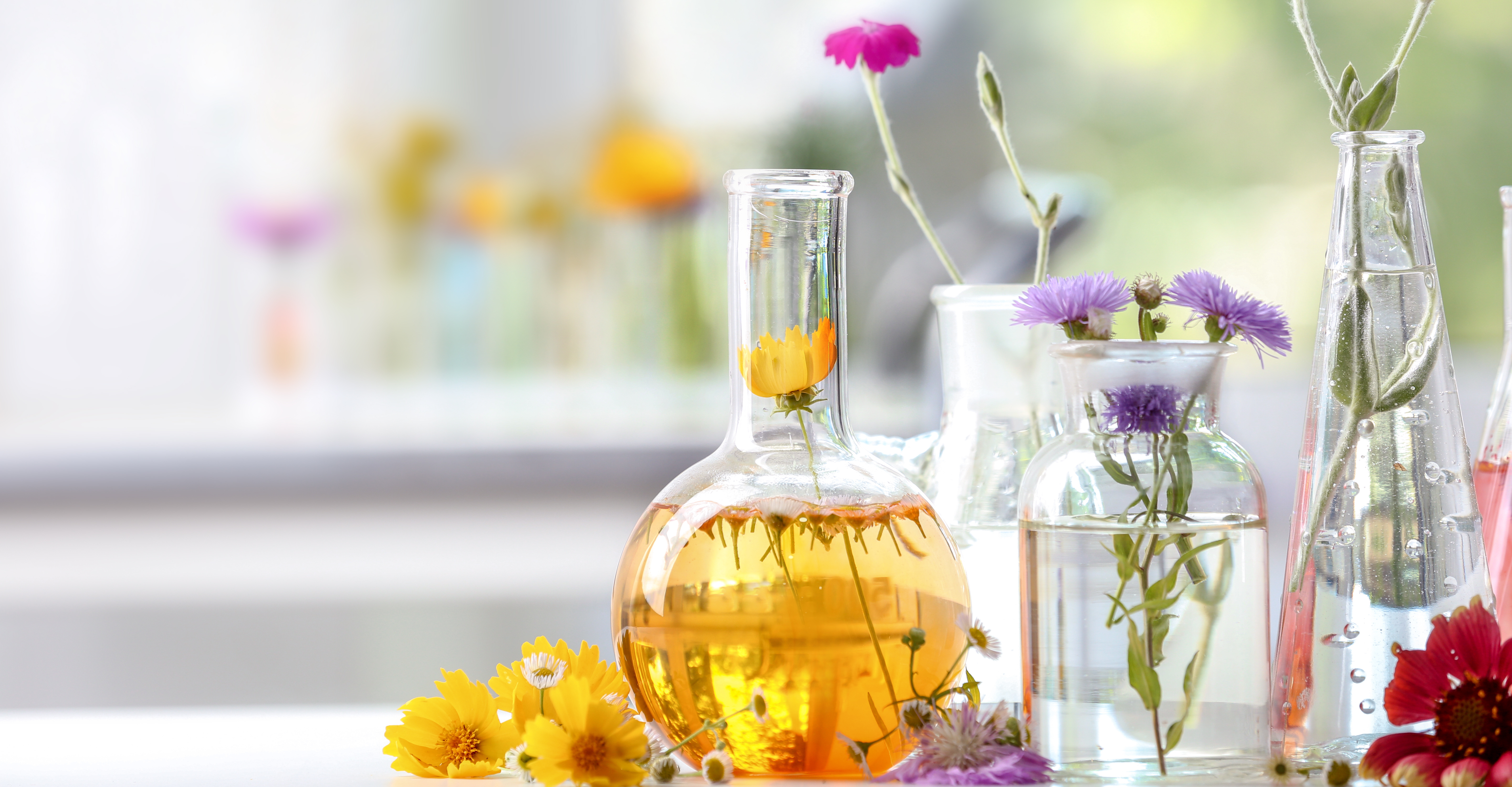 Adobestock 214616815 Blumen Reagenzglas (1)