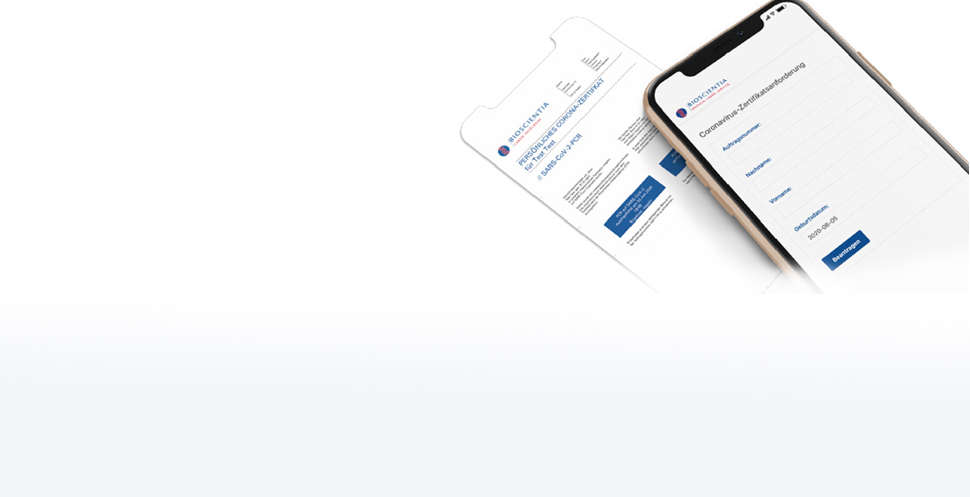 Frei Von Sars Cov 2 Bioscientia Labordiagnostik