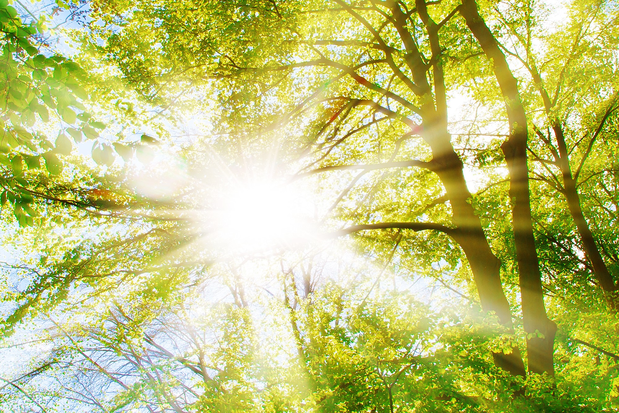 Vitamin D