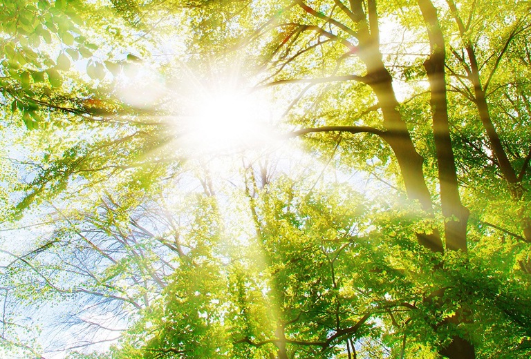 Vitamin D durch UV-Strahlen