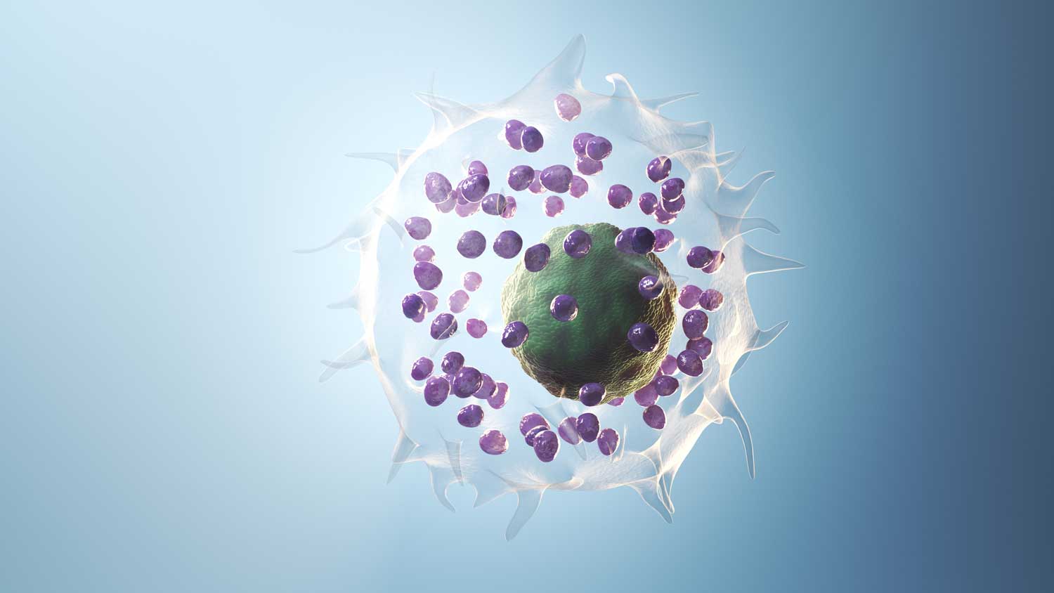 Adobestock 594034580 HERO Histamin Molekuel Web